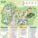 4D(213) | 아이와 함께 가기 좋은 대전 여행지