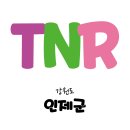 인제종합동물병원 이미지