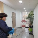 주식회사 히어코리아 이미지