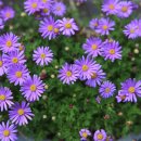 신금산단5길 이미지