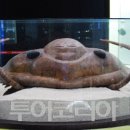 태백가족