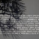 김해수로왕릉 이미지