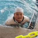 연세 성원 태권도 이미지