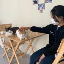 영천시청소년문화의집 이미지