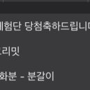 경북꽃집 - 고령군 월기1길 1 | 경북꽃집