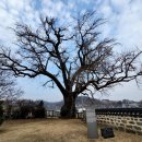 홍산 만덕교 이미지