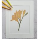 [성인] 색연필로 그리는 꽃 그림 보태니컬 아트 이미지