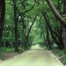 E motion 이미지