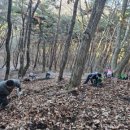 진생바이오법인 이미지