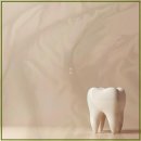 고릴라치과의원 | 교정 전후 식습관 변화가 잇몸 건강에 미치는 영향은