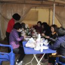 인천대공원 야영장 이미지