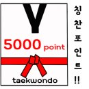 브니엘태권도장 이미지