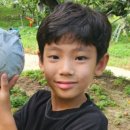 배들농장 이미지