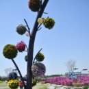 국토보상 행정사 사무소 이미지