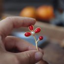 산호상사