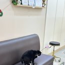 동두천법원((미용실앞) | 청당동미용실 하요룸헤어 청당법원점 다선디자이너-어머니 새치염색 후기