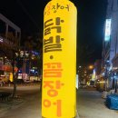 꼼씨네꼼장어