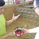 찬석목장 이미지