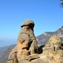 동산주유소 이미지