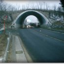 여우쉼터 이미지