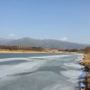 전길농장 티스토리