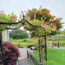 양평펜션벨뷰 | 친구들과 떠난 양평펜션 벨뷰펜션 다녀온 후기