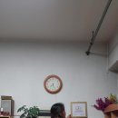 진명섬유 Daum카페