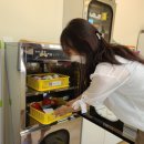 왕산초병설유치원 이미지