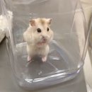 처음동물병원 이미지