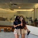 시칠리팬션 이미지