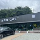 선유화카페 이미지