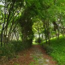 박가정의학과의원 이미지