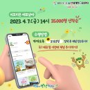 보성군청 이미지