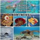 보홀여행 케이호핑 돌고래와칭 발리카삭 내돈내산후기