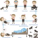 24시예스동물병원 이미지