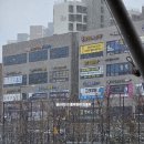 힐즈잉글리쉬