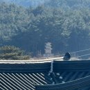 스테이 고집 | 경주 한옥 숙소 추천 한옥스테이 성혜당 조식 무료에 감성 가득 자쿠지 솔직 이용 후기