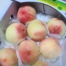 해오름농원 | 🍑 해오름농원 복숭아 내돈내산 솔직 후기 🍑