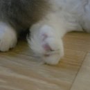 힐링카페숨소리