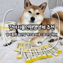 맥스펫 | 강아지올인원영양제 추천, 한아름펫 올인업 맥스로 하루 1포 건강케어
