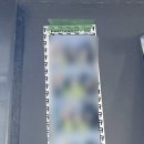 브라이트 독 이미지