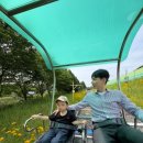 인바이크 | 세돌 아기랑 전주 가볼만한곳 여행코스 추천, 레일바이크 후기