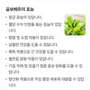 하늘빛광고 - 시흥시 | 곰보배추의 효능 곰베진 비염에도 효과가 있었답니다 광고 아니예요 내돈내산 후기입니다