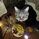 씨유태릉역점 | [서울/태릉입구역] 경성초밥🍣, 웨일스🍸