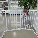 로힌(rohin) 이미지