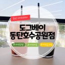 도그베이 동탄호수공원점 | 도그베이동탄 실내 애견카페 호텔까지 모두 갖춘 애견유치원