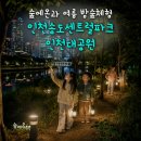 숲에온 환경 | 어린이 여름 밤 곤충 숲체험 추천! 인천대공원 & 송도센트럴파크에서 즐기는 자연 탐험