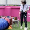 우리동네동물병원