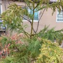 양은리어린이공원 이미지