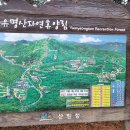 유명산 라온캠핑장 이미지